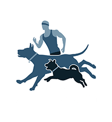 Kasza Norbert dog & sport photography