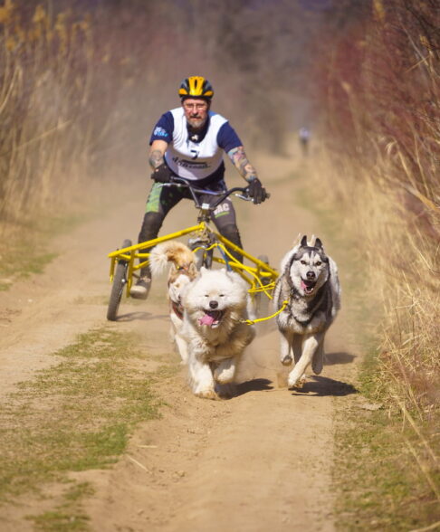 kutyás sportfotózás